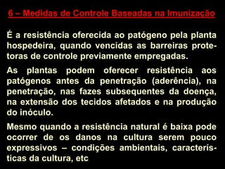 6 – Medidas de Controle Baseadas na Imunização
É a resistência oferecida ao patógeno pela planta
hospedeira, quando vencidas as barreiras prote-
toras de controle previamente empregadas.
As plantas podem oferecer resistência aos
patógenos antes da penetração (aderência), na
penetração, nas fazes subsequentes da doença,
na extensão dos tecidos afetados e na produção
do inóculo.
Mesmo quando a resistência natural é baixa pode
ocorrer de os danos na cultura serem pouco
expressivos – condições ambientais, caracterís-
ticas da cultura, etc
 
