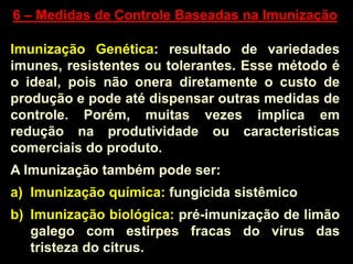 6 – Medidas de Controle Baseadas na Imunização
Imunização Genética: resultado de variedades
imunes, resistentes ou tolerantes. Esse método é
o ideal, pois não onera diretamente o custo de
produção e pode até dispensar outras medidas de
controle. Porém, muitas vezes implica em
redução na produtividade ou características
comerciais do produto.
A Imunização também pode ser:
a) Imunização química: fungicida sistêmico
b) Imunização biológica: pré-imunização de limão
galego com estirpes fracas do vírus das
tristeza do citrus.
 