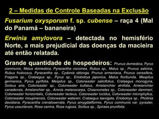 2 – Medidas de Controle Baseadas na Exclusão
Fusarium oxysporum f. sp. cubense – raça 4 (Mal
do Panamá – bananeira)
Erwinia amylovora – detectada no hemisfério
Norte, a mais prejudicial das doenças da macieira
até então relatada.
Grande quantidade de hospedeiros: Prunus domestica, Pyrus
communis, Malus domestica, Pyracantha coccinea, Rubus sp., Malus sp., Prunus salicina,
Rubus fruticosus, Pyracantha sp., Cydonia oblonga, Prunus armeniaca, Prunus cerasifera,
Fragaria sp., Crataegus sp., Pyrus sp., Eriobotrya japonica, Malus floribunda, Mespilus
germanica, Pyrus pyrifolia, Mespilus sp., Cotoneaster salicifolius, Crataegus monogyna,
Sorbus aria, Cotoneaster sp., Cotoneaster bullatus, Amelanchier alnifolia, Amelanchier
canadensis, Amelanchier sp., Aronia melanocarpa, Chaenomeles sp., Cotoneaster dammeri,
Cotoneaster horizontalis, Cotoneaster lacteus, Cotoneaster lucidus, Cotoneaster microphyllus,
Cotoneaster moupinensis, Cotoneaster watereri, Crataegus laevigata, Eriobotrya sp., Photinia
davidiana, Pyracantha crenatoserrata, Pyrus amygdaliformis, Pyrus communis var. pyraster,
Pyrus ussuriensis, Rosa canina, Rosa rugosa, Sorbus sp., Spiraea prunifolia.
 