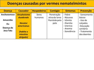 Doença Causador Hospedeiros Contágio Sintomas Prevenção
Ancilostomose Ancylostoma Seres Penetração - Febre - Saneamento
duodenale humanos ativada larva - Náuseas básico
Amarelão filarióidepela - Vômito - Uso de
Ou
Doença do
Jeca Tatu
Necator
americanus
(habita o
pele - Diarréia
- Icterícia
- Anemia
- Sonolência
calçados
-Educação
sanitária
- Tratamento
intestino dos doentes
delgado)
Doenças causadas por vermes nematelmintos
 