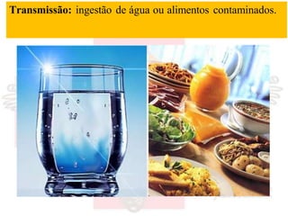 Transmissão: ingestão de água ou alimentos contaminados.
 