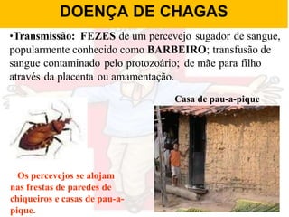 •Transmissão: FEZES de um percevejo sugador de sangue,
popularmente conhecido como BARBEIRO; transfusão de
sangue contaminado pelo protozoário; de mãe para filho
através da placenta ou amamentação.
Casa de pau-a-pique
Os percevejos se alojam
nas frestas de paredes de
chiqueiros e casas de pau-a-
pique.
DOENÇA DE CHAGAS
 