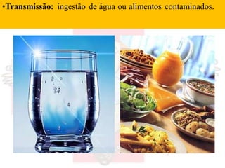 •Transmissão: ingestão de água ou alimentos contaminados.
 