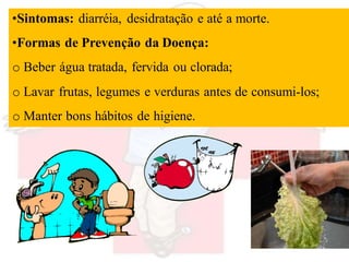 •Sintomas: diarréia, desidratação e até a morte.
•Formas de Prevenção da Doença:
o Beber água tratada, fervida ou clorada;
o Lavar frutas, legumes e verduras antes de consumi-los;
o Manter bons hábitos de higiene.
 