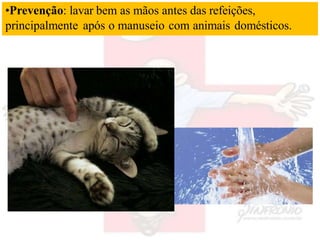 •Prevenção: lavar bem as mãos antes das refeições,
principalmente após o manuseio com animais domésticos.
 