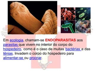 Em ecologia, chamam-se ENDOPARASITAS aos
parasitas que vivem no interior do corpo do
hospedeiro, como é o caso de muitas bactérias e das
tênias. Invadem o corpo do hospedeiro para
alimentar-se ou procriar.
 