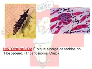 HISTOPARASITA: É o que alberga os tecidos do
Hospedeiro. (Tripanossoma Cruzi).
 