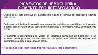 PIGMENTOS DE HEMOGLOBINA:
PIGMENTO ESQUISTOSSOMÓTICO
• Origina-se no trato digestivo do Schistosoma a partir do sangue do hospedeiro ingerido
pelo verme.
• Proteases do intestino do parasito degradam a hemoglobina em peptídeos, aminoácidos
e heme; este forma um cristal estruturalmente idêntico à hemozoína na luz do intestino do
verme.
• O pigmento é regurgitado pelo verme na circulação sanguínea do hospedeiro e se
acumula como grânulos castanho-escuros ou pretos nas células de Kupffer, nos
macrófagos do baço e nos espaços portais.
• A deposição do pigmento não traz repercussões para o organismo.
 