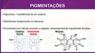PIGMENTAÇÕES
• Pigmentos = substâncias de cor própria;
• Distribuídos amplamente na natureza;
• Encontrados em células animais e vegetais, desempenhando importantes funções
 