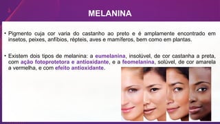 MELANINA
• Pigmento cuja cor varia do castanho ao preto e é amplamente encontrado em
insetos, peixes, anfíbios, répteis, aves e mamíferos, bem como em plantas.
• Existem dois tipos de melanina: a eumelanina, insolúvel, de cor castanha a preta,
com ação fotoprotetora e antioxidante, e a feomelanina, solúvel, de cor amarela
a vermelha, e com efeito antioxidante.
 