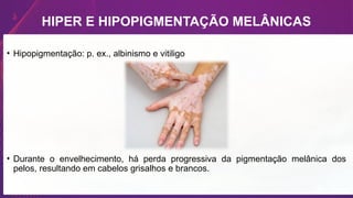 HIPER E HIPOPIGMENTAÇÃO MELÂNICAS
• Hipopigmentação: p. ex., albinismo e vitiligo
• Durante o envelhecimento, há perda progressiva da pigmentação melânica dos
pelos, resultando em cabelos grisalhos e brancos.
 
