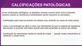CALCIFICAÇÕES PATOLÓGICAS
Já nas calcificações patológicas, os depósitos minerais ocorrem sobre outros substratos
celulares (viáveis ou necróticos) e extracelulares (tecido conjuntivo ou secreções).
• Calcificação pode iniciar-se também em células vivas, podendo ser causa de morte celular.
• Como a concentração de cálcio é maior nas mitocôndrias do que no restante do citoplasma,
elas tendem a acumular mais cálcio quando este está aumentado no interior das células.
• Calcificação de mitocôndrias resulta em perda de função  quando muitas mitocôndrias se
calcificam, a célula morre.
 