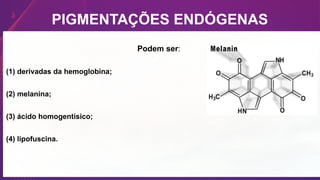 PIGMENTAÇÕES ENDÓGENAS
Podem ser:
(1) derivadas da hemoglobina;
(2) melanina;
(3) ácido homogentísico;
(4) lipofuscina.
 