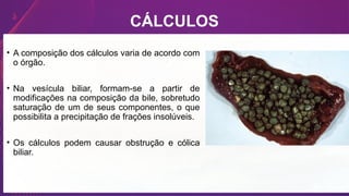 CÁLCULOS
• A composição dos cálculos varia de acordo com
o órgão.
• Na vesícula biliar, formam-se a partir de
modificações na composição da bile, sobretudo
saturação de um de seus componentes, o que
possibilita a precipitação de frações insolúveis.
• Os cálculos podem causar obstrução e cólica
biliar.
 