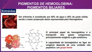 PIGMENTOS DE HEMOGLOBINA:
PIGMENTOS BILIARES
Eritrócitos
Um eritrócito é constituído por 60% de água e 40% de parte sólida,
sendo a maior proporção desta representada pela Hemoglobina
O principal papel da hemoglobina é o
transporte dos gases sanguíneos,
principalmente oxigênio e gás carbônico.
A capacidade da hemoglobina se ligar ao
oxigênio depende de uma unidade não
peptídica: um grupo heme
 