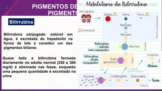 PIGMENTOS DE HEMOGLOBINA:
PIGMENTOS BILIARES
Bilirrubina
Bilirrubina conjugada: solúvel em
água, é excretada do hepatócito na
forma de bile e constitui um dos
pigmentos biliares
Quase toda a bilirrubina formada
diariamente no adulto normal (250 a 300
mg/d) é eliminada nas fezes, enquanto
uma pequena quantidade é excretada na
urina
 