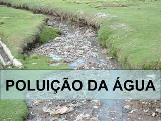 POLUIÇÃO DA ÁGUA 