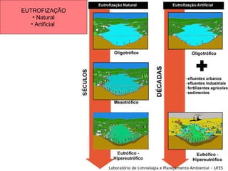 EUTROFIZAÇÃO Natural Artificial  
