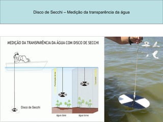 Disco de Secchi – Medição da transparência da água 