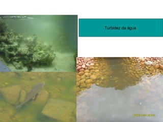 Turbidez da água  