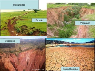 Resultados Desertificação Voçoroca Erosão Voçoroca 