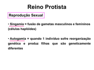 • Singamia = fusão de gametas masculinos e femininos
(células haplóides)
• Autogamia = quando 1 indivíduo sofre reorganização
genética e produz filhas que são geneticamente
diferentes
Reprodução Sexual
Reino Protista
 