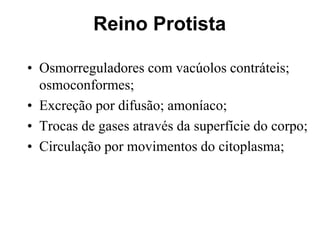 • Osmorreguladores com vacúolos contráteis;
osmoconformes;
• Excreção por difusão; amoníaco;
• Trocas de gases através da superfície do corpo;
• Circulação por movimentos do citoplasma;
Reino Protista
 