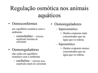 Regulação osmótica nos animais
aquáticos
• Osmoconformes
em equilíbrio osmótico com o
ambiente
– estenohalino – toleram
amplitude limitada de
salinidade
• Osmoreguladores
não estão em equilíbrio
osmótico com o ambiente
– eurihalino – toleram uma
amplitude ampla de salinidade
• Osmoreguladores
– hiperosmótico
• fluidos corporais máis
concentrados que na
água que os rodeia;
– hiposmótico
• fluidos corporais menos
concentrados que na
água que os rodeia;
 