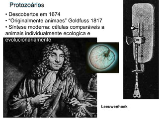 Leeuwenhoek
Protozoans
Protozoários
• Descobertos em 1674
• “Originalmente animaes” Goldfuss 1817
• Síntese moderna: células comparáveis a
animais individualmente ecologica e
evolucionariamente
 