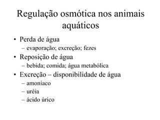 • Perda de água
– evaporação; excreção; fezes
• Reposição de água
– bebida; comida; água metabólica
• Excreção – disponibilidade de água
– amoníaco
– uréia
– ácido úrico
Regulação osmótica nos animais
aquáticos
 