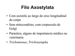 Filo Axostylata
• Com axóstilo ao largo do eixo longitudinal
do corpo
• Sem mitocondrias; com corpusculo de
Golgi
• Parasitos; alguns de importancia médica ou
veterinaria
• Trichomonas, Trichonympha
 