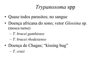 Trypanosoma spp
• Quase todos parasitos; no sangue
• Doença africana do sono; vetor Glossina sp.
(mosca tsetse)
– T. brucei gambiense
– T. brucei rhodesiense
• Doença de Chagas; “kissing bug”
– T. cruzi
 