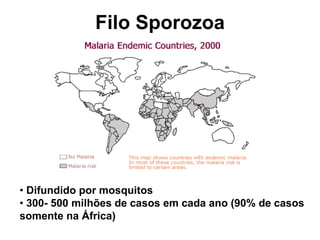 • Difundido por mosquitos
• 300- 500 milhões de casos em cada ano (90% de casos
somente na África)
Filo Sporozoa
 