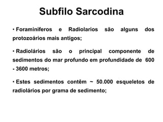• Foraminiferos e Radiolarios são alguns dos
protozoários mais antigos;
• Radiolários são o principal componente de
sedimentos do mar profundo em profundidade de 600
- 3600 metros;
• Estes sedimentos contêm ~ 50.000 esqueletos de
radiolários por grama de sedimento;
Subfilo Sarcodina
 