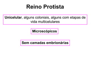 Reino Protista
Unicelular, alguns coloniais, alguns com etapas de
vida multicelulares
Microscópicos
Sem camadas embrionárias
 