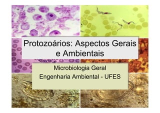 Protozoários: Aspectos Gerais
e Ambientais
Protozoários: Aspectos Gerais
e Ambientais
Microbiologia Geral
Engenharia Ambiental - UFES
Microbiologia Geral
Engenharia Ambiental - UFES
 