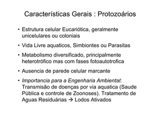 • Estrutura celular Eucariótica, geralmente
unicelulares ou coloniais
• Vida Livre aquaticos, Simbiontes ou Parasitas
• Metabolismo diversificado, principalmente
heterotrófico mas com fases fotoautotrofica
• Ausencia de parede celular marcante
• Importancia para a Engenharia Ambiental:
Transmisão de doenças por via aquatica (Saude
Pública e controle de Zoonoses). Tratamento de
Aguas Residuárias Lodos Ativados
Características Gerais : Protozoários
 