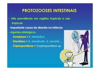 PROTOZOOSES INTESTINAIS
- Alta prevalência em regiões tropicais e sub-
tropicais
- Importante causa de diarréia na infância
- Agentes etiológicos
Amebíase = E. histolytica
Giardíase = G. intestinalis, G. lamblia, ..
Criptosporidiose = Cryptosporidium sp
- Alta prevalência em regiões tropicais e sub-
tropicais
- Importante causa de diarréia na infância
- Agentes etiológicos
Amebíase = E. histolytica
Giardíase = G. intestinalis, G. lamblia, ..
Criptosporidiose = Cryptosporidium sp
 