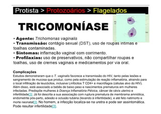 Complicações
Estudos demonstraram que o T. vaginalis favorece a transmissão do HIV, tanto pelas lesões e
sangramento de mucosa que produz, como pela estimulação de reação inflamatória, atraindo para
o local infiltração de leucócitos, inclusive Linfócitos T CD4+ e macrófagos (células alvo do HIV).
Além disso, está associado a bebês de baixo peso e nascimentos prematuros em mulheres
infectadas. Predispõe mulheres à Doença Inflamatória Pélvica, câncer de cévix uterino e
infertilidade[3]. Já foi descrita a sua associação com ruptura prematura de membrama amniótica,
endometrite pós-parto, adesão e oclusão tubária (levando à infertilidade), e até feto natimorto e
morte neonatal[3]. No homem, a infecção localiza-se na uretra e pode ser assintomática.
Pode resultar infertilidade[3].
 