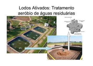 Lodos Ativados: Tratamento
aeróbio de águas residuárias
 