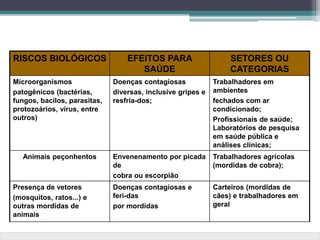 RISCOS BIOLÓGICOS EFEITOS PARA
SAÚDE
SETORES OU
CATEGORIAS
Microorganismos
patogênicos (bactérias,
fungos, bacilos, parasitas,
protozoários, vírus, entre
outros)
Doenças contagiosas
diversas, inclusive gripes e
resfria-dos;
Trabalhadores em
ambientes
fechados com ar
condicionado;
Profissionais de saúde;
Laboratórios de pesquisa
em saúde pública e
análises clínicas;
Animais peçonhentos Envenenamento por picada
de
cobra ou escorpião
Trabalhadores agrícolas
(mordidas de cobra);
Presença de vetores
(mosquitos, ratos...) e
outras mordidas de
animais
Doenças contagiosas e
feri-das
por mordidas
Carteiros (mordidas de
cães) e trabalhadores em
geral
 