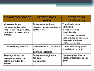 RISCOS BIOLÓGICOS                 EFEITOS PARA                   SETORES OU
                                     SAÚDE                       CATEGORIAS
Microorganismos               Doenças contagiosas            Trabalhadores em
patogênicos (bactérias,       diversas, inclusive gripes e   ambientes
fungos, bacilos, parasitas,   resfria-dos;                   fechados com ar
protozoários, vírus, entre                                   condicionado;
outros)                                                      Profissionais de saúde;
                                                             Laboratórios de pesquisa
                                                             em saúde pública e
                                                             análises clínicas;
   Animais peçonhentos        Envenenamento por picada       Trabalhadores agrícolas
                              de                             (mordidas de cobra);
                              cobra ou escorpião
Presença de vetores           Doenças contagiosas e          Carteiros (mordidas de
(mosquitos, ratos...) e       feri-das                       cães) e trabalhadores em
outras mordidas de            por mordidas                   geral
animais
 