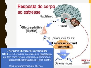 O hormônio liberador de corticotrofina
(CRH) é um hormônio sintetizado no hipotálamo,
que tem como função a liberação do hormônio
adrenocorticotrófico (ACTH), pela hipófise

ativa as suprarrenais que libera o
 