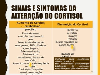 SINAIS E SINTOMAS DA
ALTERAÇÃO DO CORTISOL
Aumento do Cortisol
– catabolismo
protéico
Perda de massa
muscular; Aumento do
peso;
Aumento das chances de
osteoporose; Dificuldade na
aprendizagem;
Baixo crescimento;
Diminuição da
testosterona; Lapsos de
memória;
Aumento da sede e da frequência
em urinar;
Diminuição do apetite
sexual; Menstruação
Diminuição do Cortisol
Depressã
o; Fadiga;
Cansaço;
Fraqueza;
Desejo repentino de
comer doces;
Doença de
A ddison
Conhecida como insuficiência
potencialmente
adrenal primária é
fatal caracterizada
pela
insuficiente de
produção
hormônios
esteroides pelas glândulas adrenais.
12
 