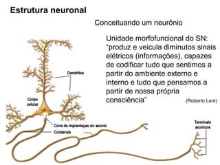 Conceituando um neurônio
Estrutura neuronal
Unidade morfofuncional do SN:
“produz e veicula diminutos sinais
elétricos (informações), capazes
de codificar tudo que sentimos a
partir do ambiente externo e
interno e tudo que pensamos a
partir de nossa própria
consciência” (Roberto Lent)
 