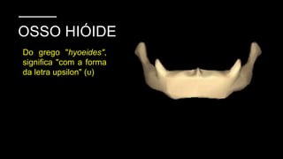 OSSO HIÓIDE
Do grego "hyoeides",
significa "com a forma
da letra upsilon" (υ)
 