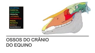 OSSOS DO CRÂNIO
DO EQUINO
OCCIPITAL
PARIETAL
TEMPORAL
FRONTAL
LACRIMAL
ZIGOMÁTICO
NASAL
INCISIVO
MAXILA
MANDÍBULA
 