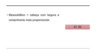 • Mesocefálico = cabeça com largura e
comprimento mais proporcionais
IC: 50
 
