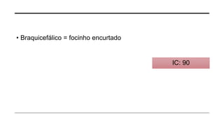• Braquicefálico = focinho encurtado
IC: 90
 