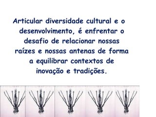 Articular diversidade cultural e o
desenvolvimento, é enfrentar o
desafio de relacionar nossas
raízes e nossas antenas de forma
a equilibrar contextos de
inovação e tradições.
Tanto o novo quanto o tradicional
são fontes que alimentam a
diversidade.
 